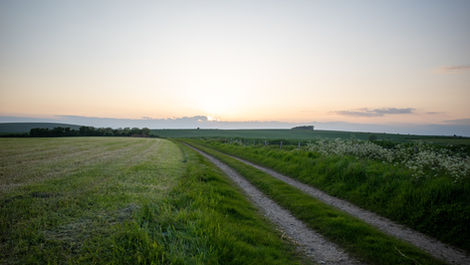 Bikepack the South Downs Way