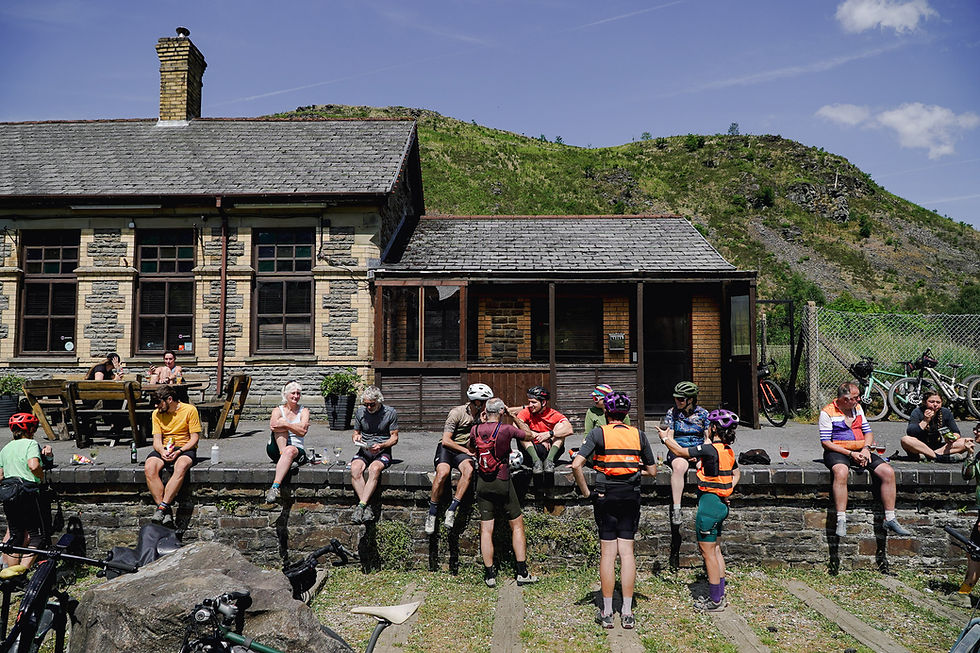 WILD WALES 2025 JONATHAN HEARD-189.jpg