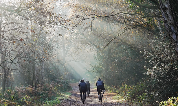 DSC08140 (1)_edited_edited.png