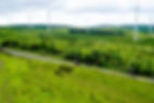 Wild Wales June 24-074.jpg