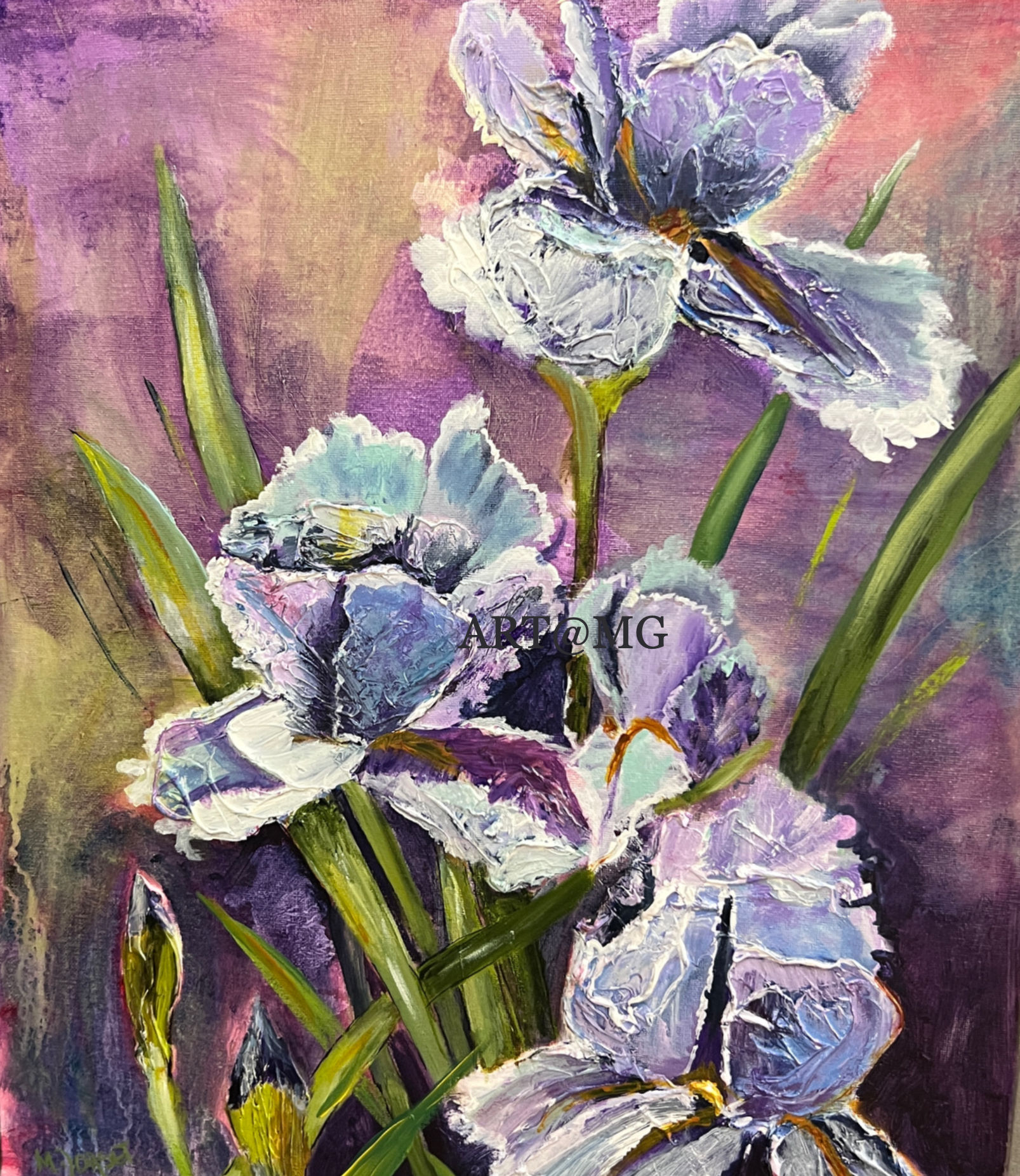 Irises by Marianne Dorset