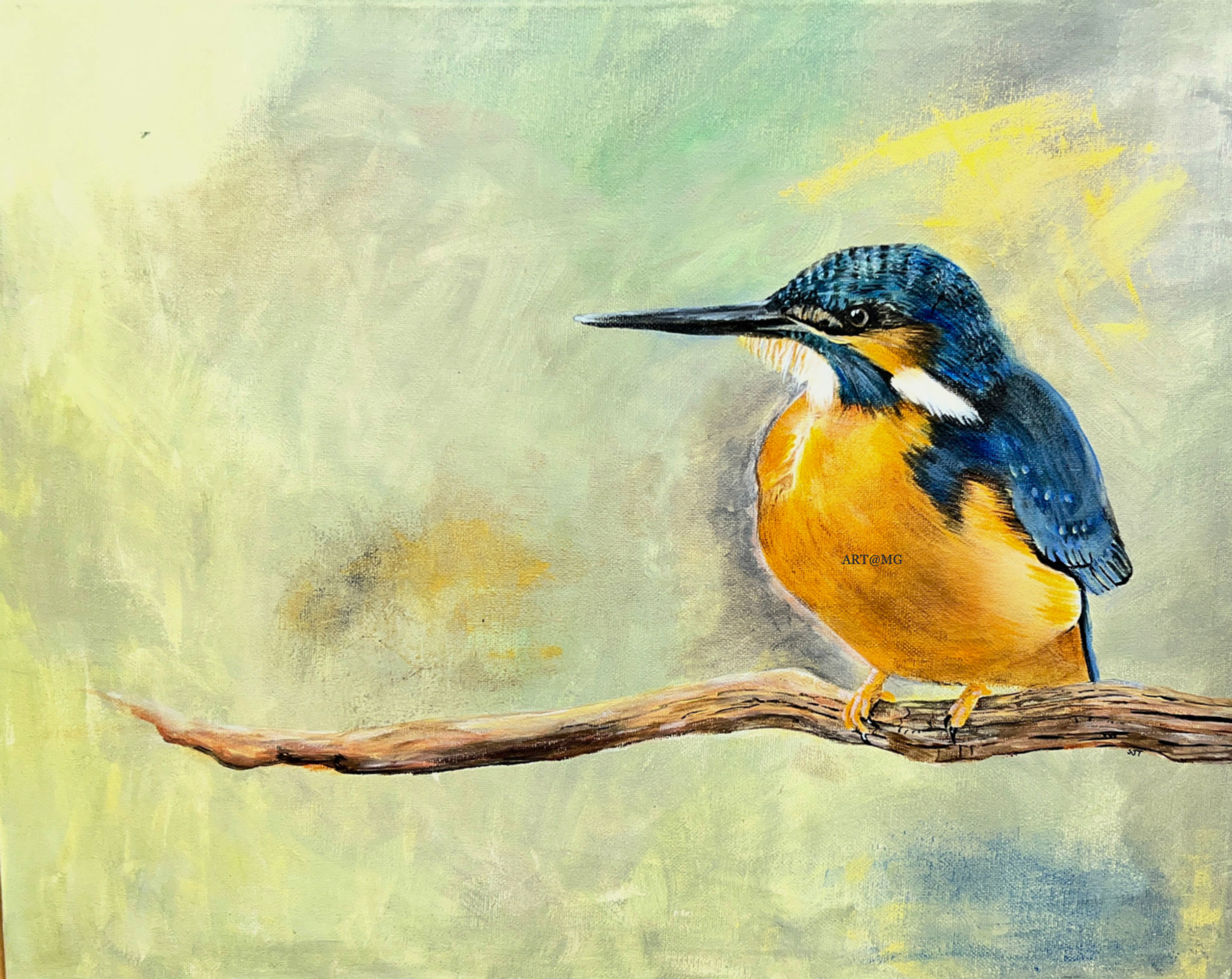 Kingfisher by Sally Taylor