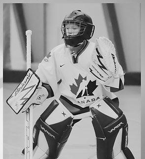 Untitled design (5).png