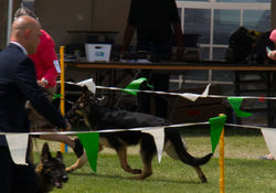 NACA 2016, 6 months old