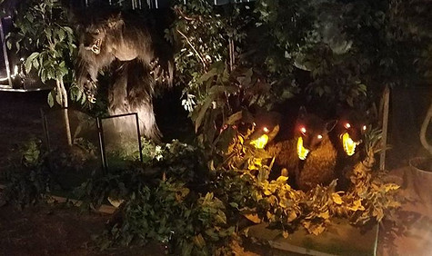 14570482_647578445417589_151996610051580