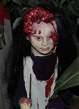 55470334_1177297675778994_53228202334156