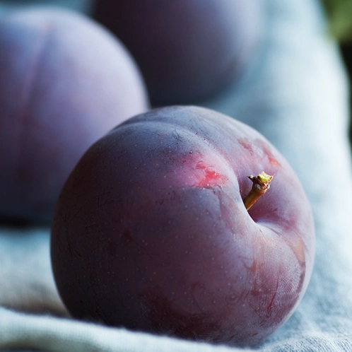 cashmere-plum-fragrance-oil-web.webp