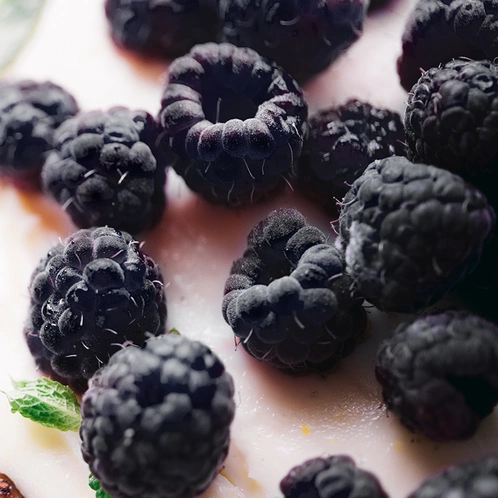 black-raspberry-vanilla-scentthemood.webp