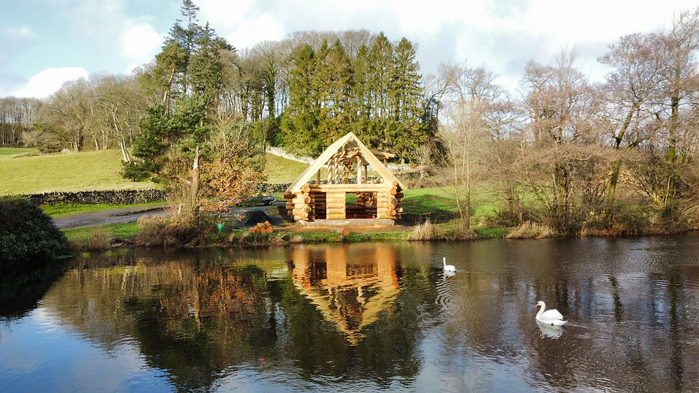 Log Cabin at the lake progress