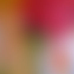 Valuing the creator  ...