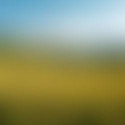 Sovereign field