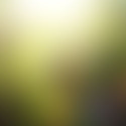 Feeling is our sensory tuning fork.