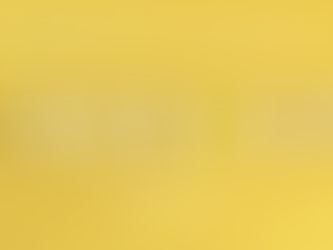 Undifferentiated vs. Differentiated Marketing: Choosing the Right Strategy