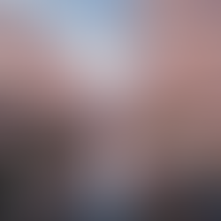 Japan Travel Update This Week: What Emirati Travelers Need to Know Before Spring Trips