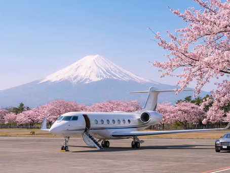 Japan in Bloom — A Refined March Guide for Emirati Travelers