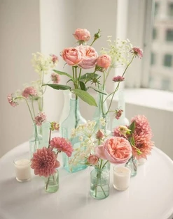 untitled image