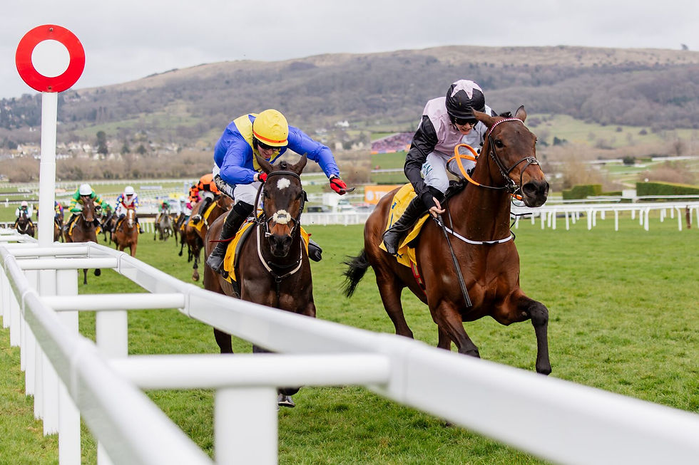 Landscape-Cheltenham Festival Thursday-034.jpg