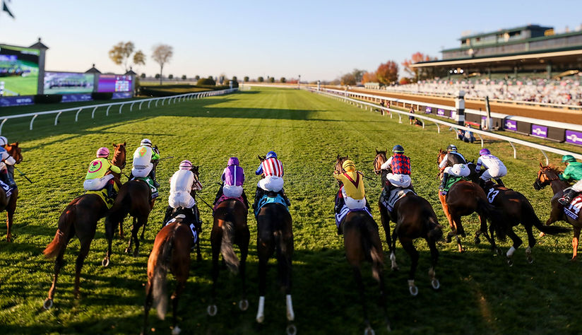 Breeders Cup 2026 Packages | With Racing Around The World