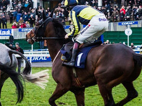 Meet The Team Behind Chepstow Racecourse!