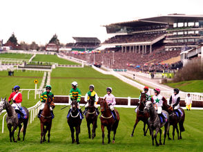 Cheltenham Festival 2025