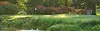 635ae51e0e9ce.webp