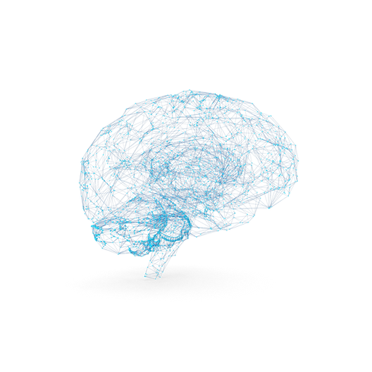 Brain Wire-frame.I14.2k.png