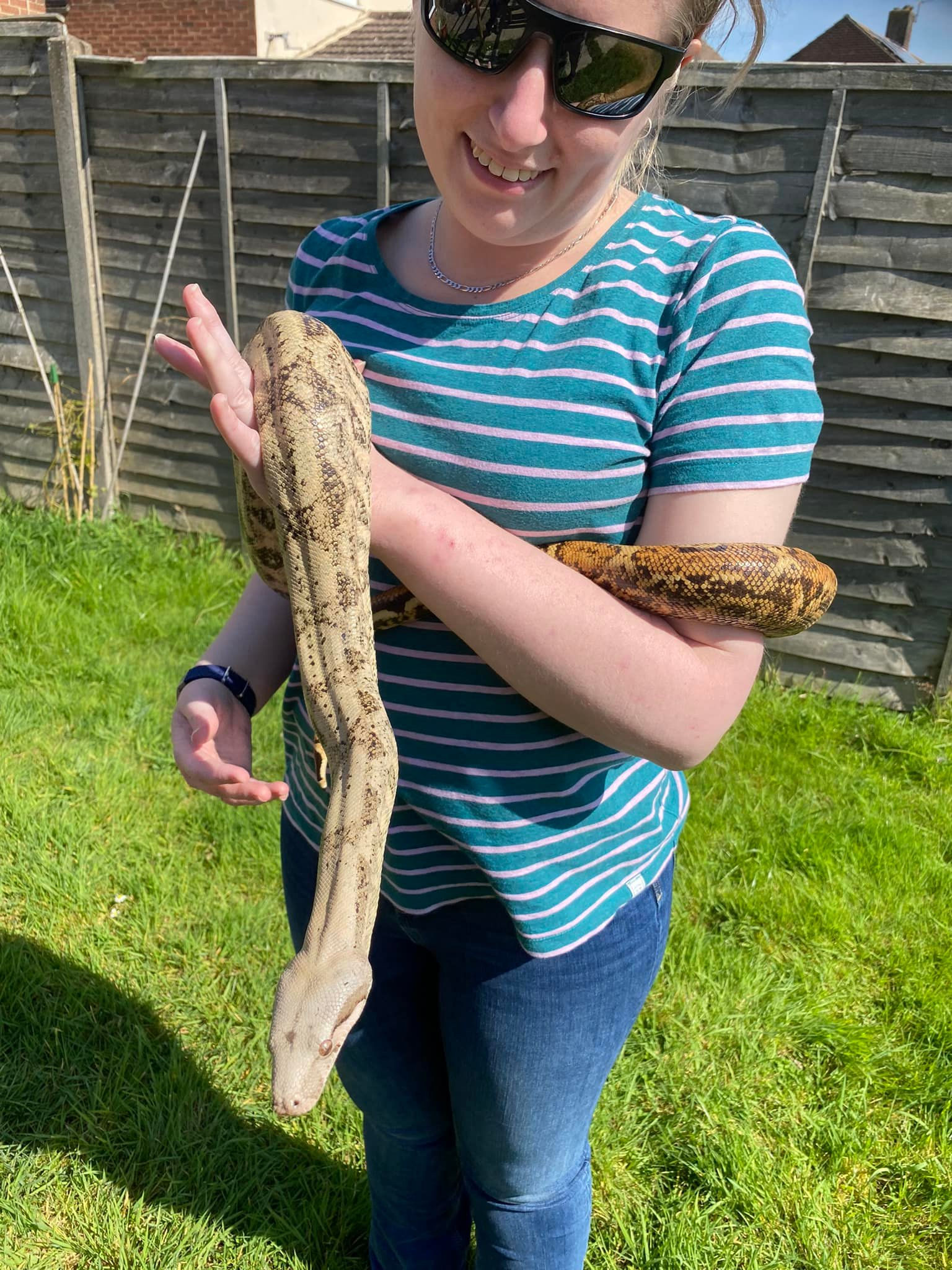 2 Hour Snake and Critters Handling Experience