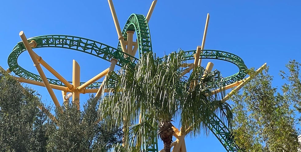 Cheetah Hunt Roller Coaster Picture 2