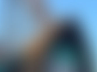 Maximizing Time at Busch Gardens Tampa