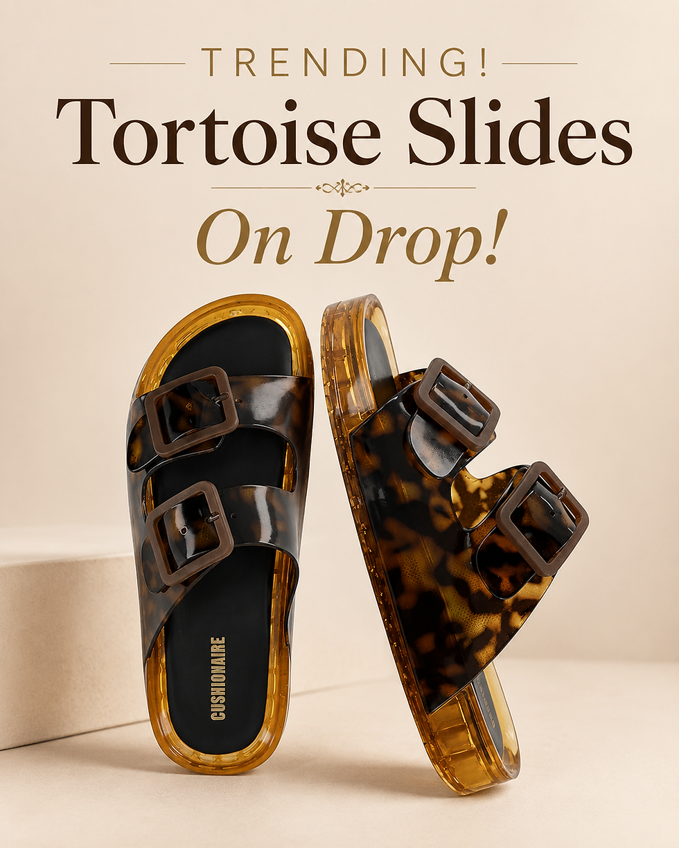 Tortoise Pool Slides