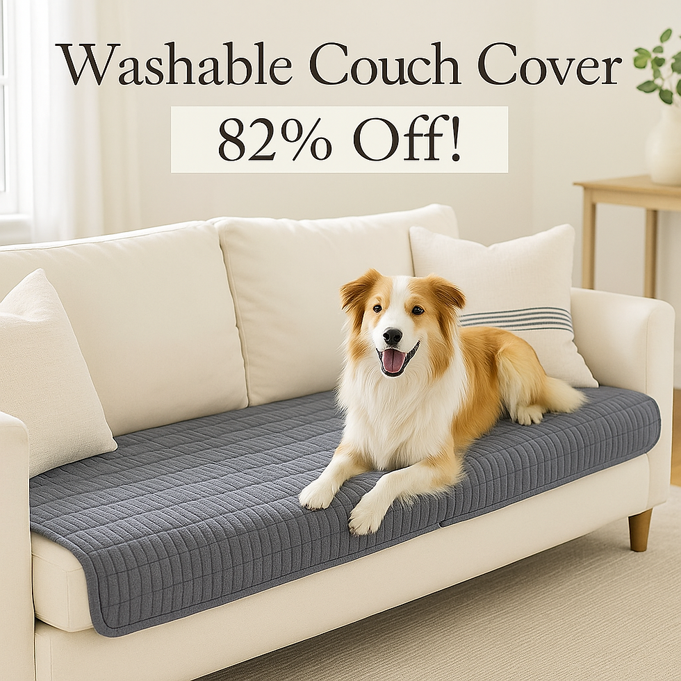 Washable Couch Cover