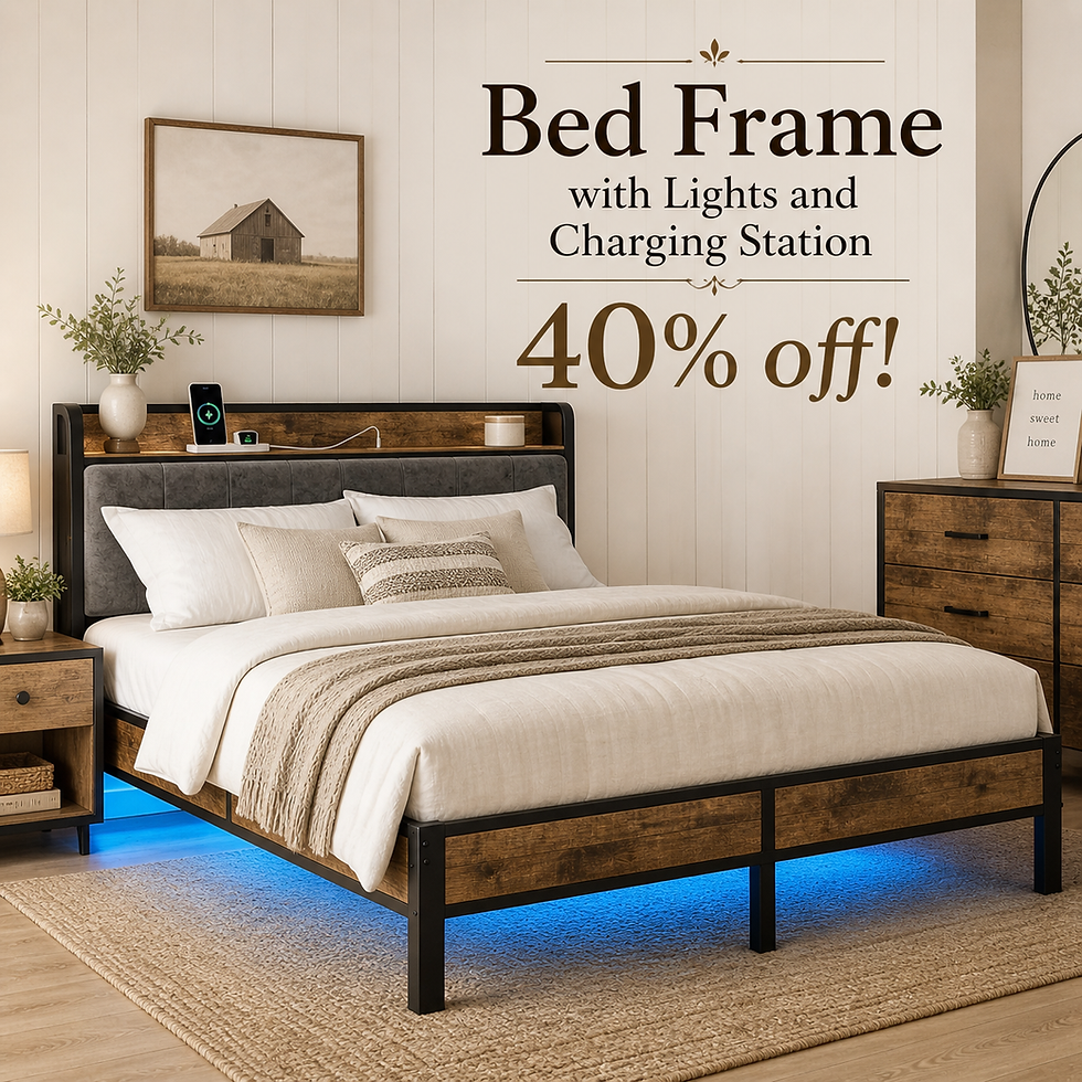 Bed Frame with LED Lights