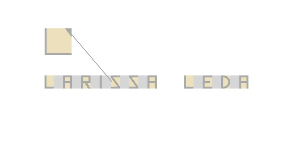 ap-larissa-leda.004.jpeg