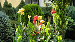 DSCN1792 a