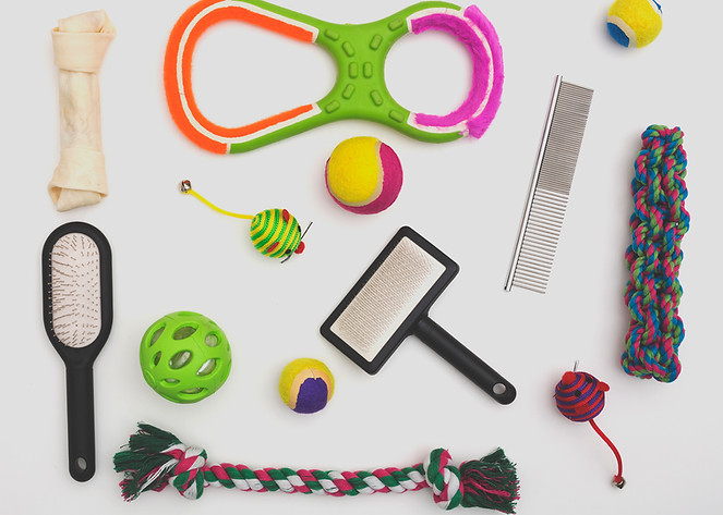 Pet Toys