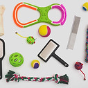 Pet Toys