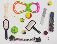 Pet Toys