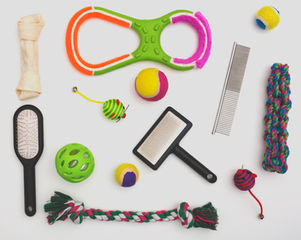 Pet Toys