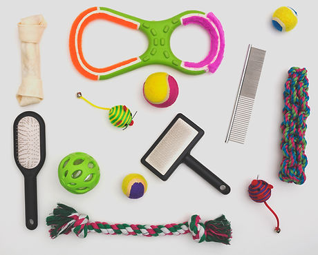 Pet Toys