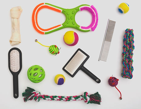 Pet Toys