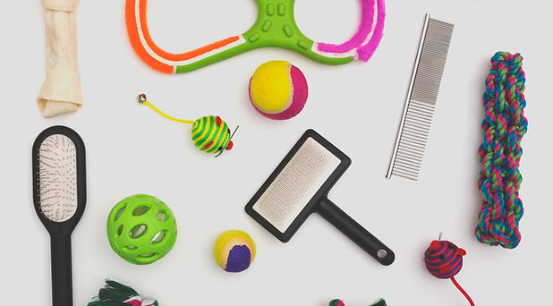 Pet Toys