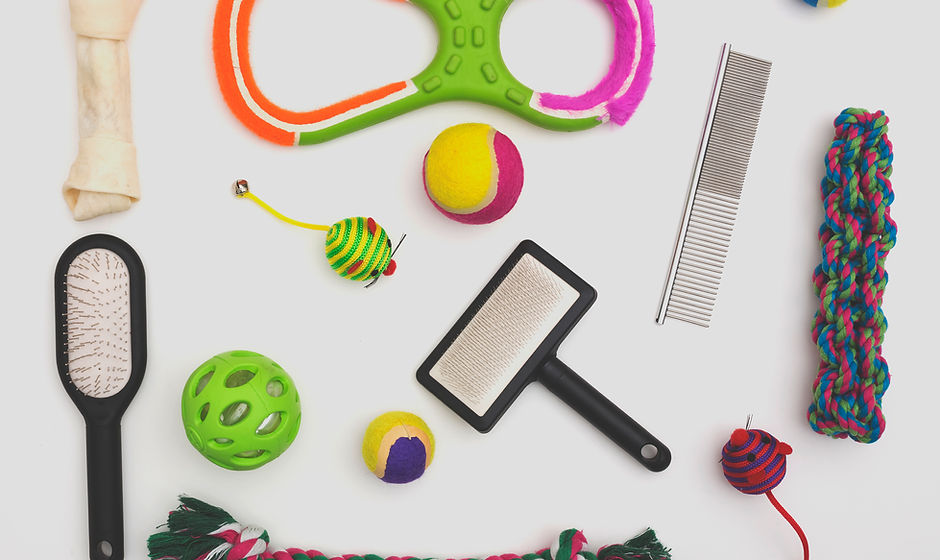 Pet Toys