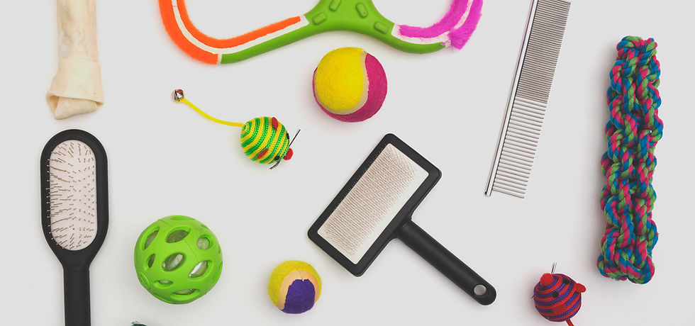 Pet Toys