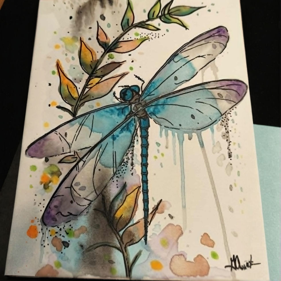 Elegant Dragonfly