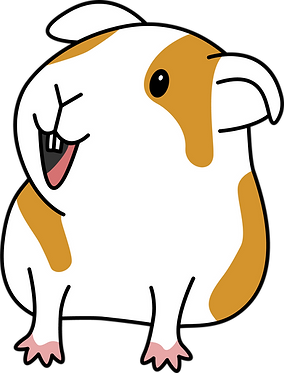 1-swinak 3.png