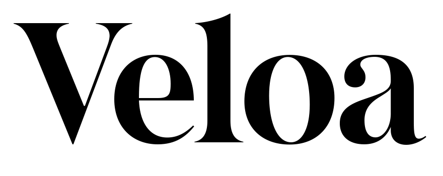 Veloa logo_.png