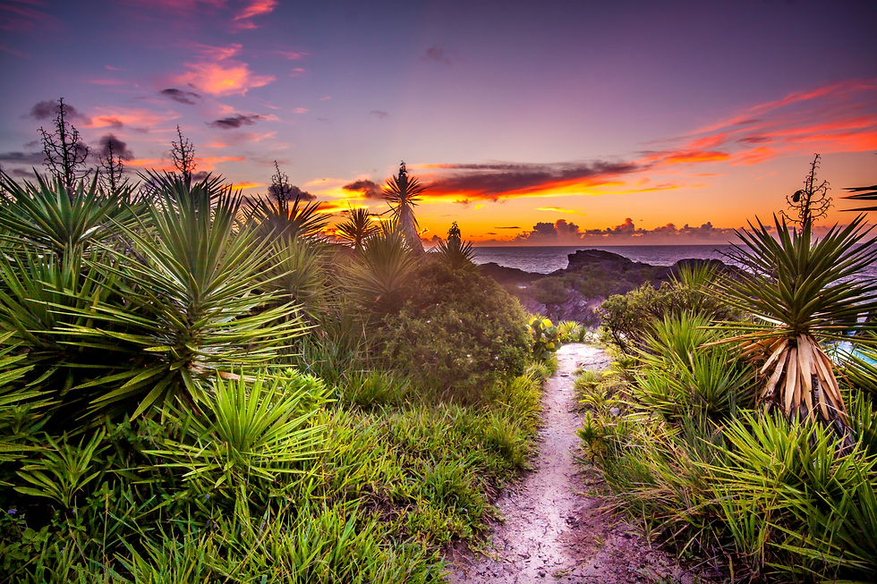 While Shepherds Watched Their Locks By Night