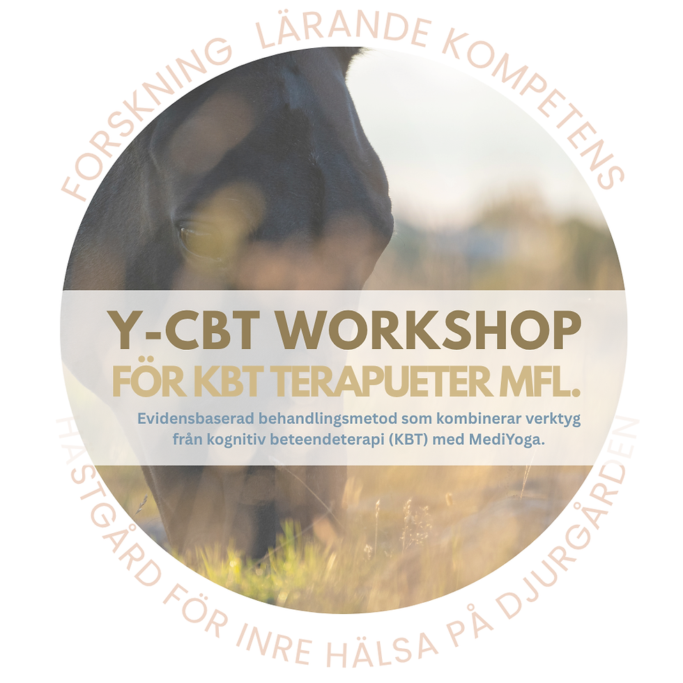 Y-CBT WORKSHOP FÖR TERAPUETER MFL.
