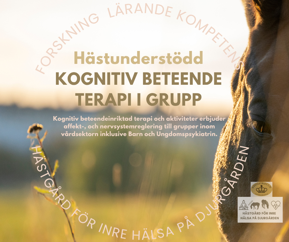 HÄSTUNDERSTÖDD KBT I GRUPP