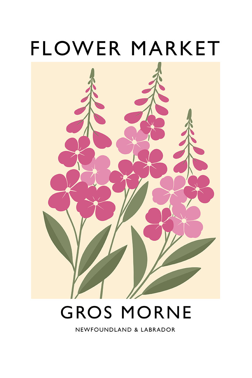 Fireweed flower illustration – Flower Market series art print – Gros Morne, Newfoundland and Labrador